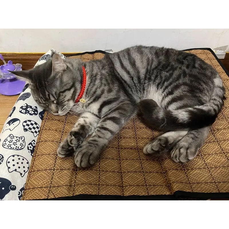 Natural Cooling Rattan Pet Bed Mat 10