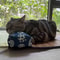 Natural Cooling Rattan Pet Bed Mat 11