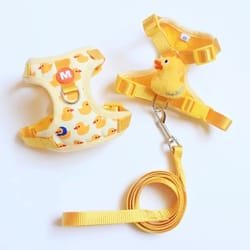 escape proof no pull cat harness and leash set