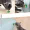 Catnip Energy Licking Ball Treat For Cats 1