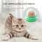 Catnip Energy Licking Ball Treat For Cats 2