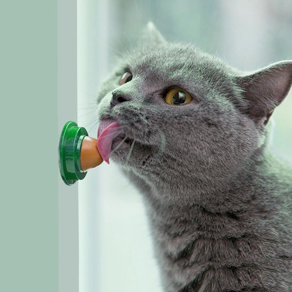 Catnip Energy Licking Ball Treat For Cats 7