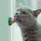 Catnip Energy Licking Ball Treat For Cats 7