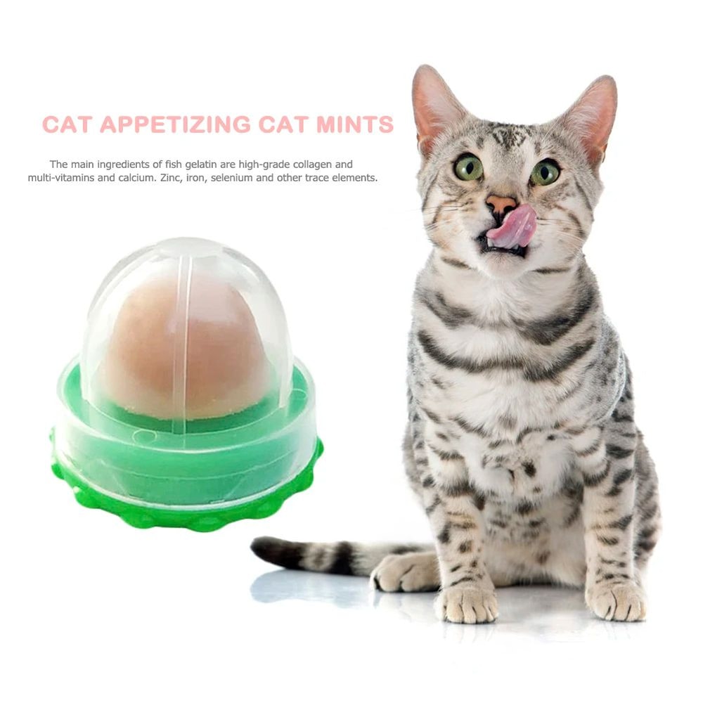 Catnip Energy Licking Ball Treat For Cats 6