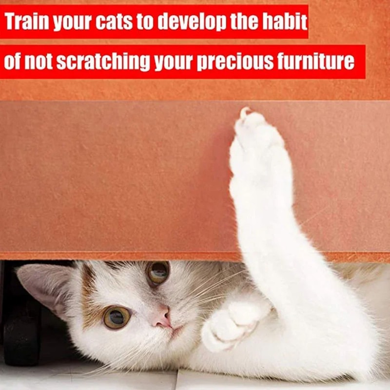 Transparent Cat Scratch Deterrent Training Tape 3