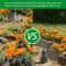 Garden Anti Cat Prickle Deterrent Mat 6