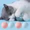 Rechargeable Interactive Rolling Cat Ball Toy 6