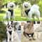 Escape Proof Reflective Cat Harness And Leash Set 3