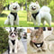 Escape Proof Reflective Cat Harness And Leash Set 3