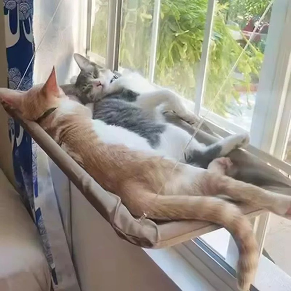 Ultra Soft Window Mounted Cat Hammock Bed 0