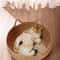 Hand Woven Rattan Cat Nest Bed 5