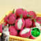 Dragon Fruit Catnip Plush Chew Toy 0