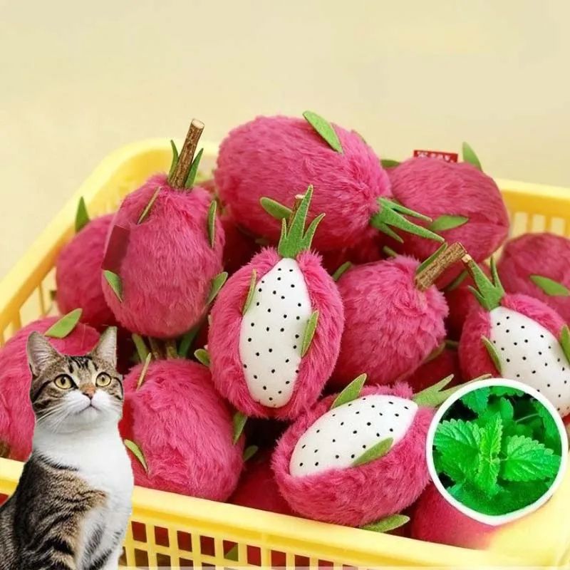 Dragon Fruit Catnip Plush Chew Toy 0