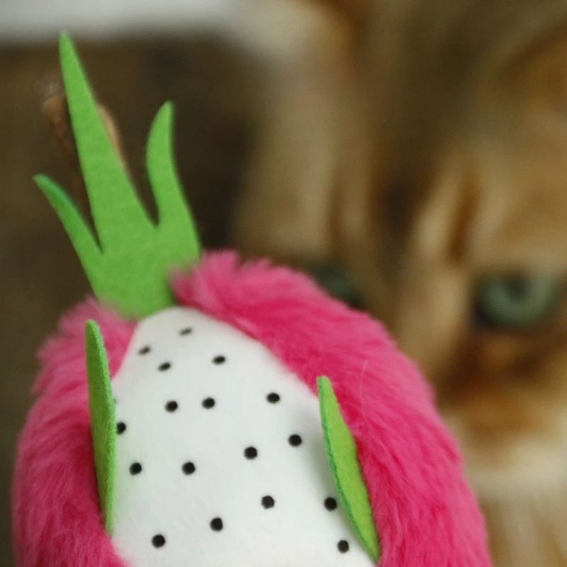 Dragon Fruit Catnip Plush Chew Toy 4