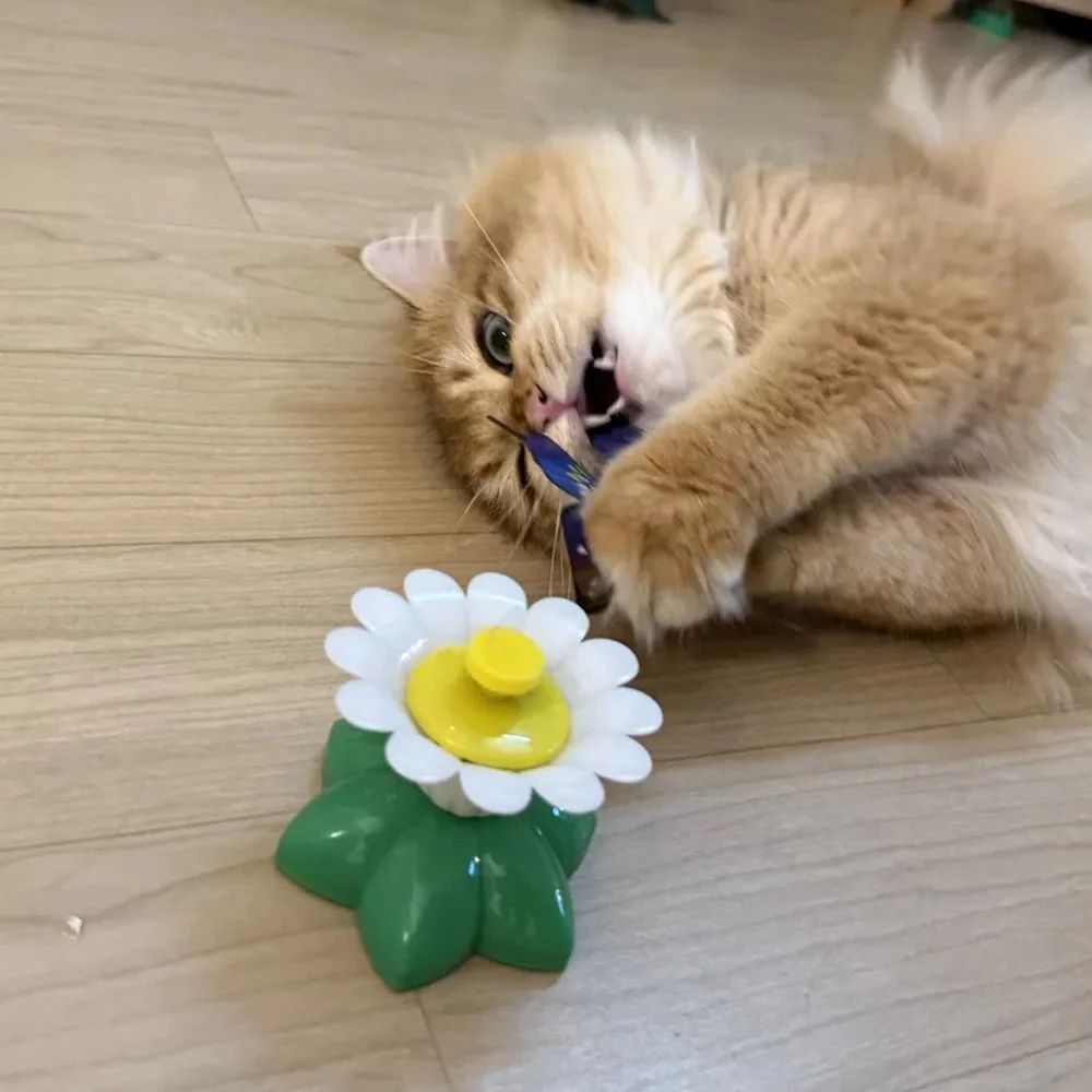 Automatic Rotating Butterfly Bird Interactive Cat Toy 1