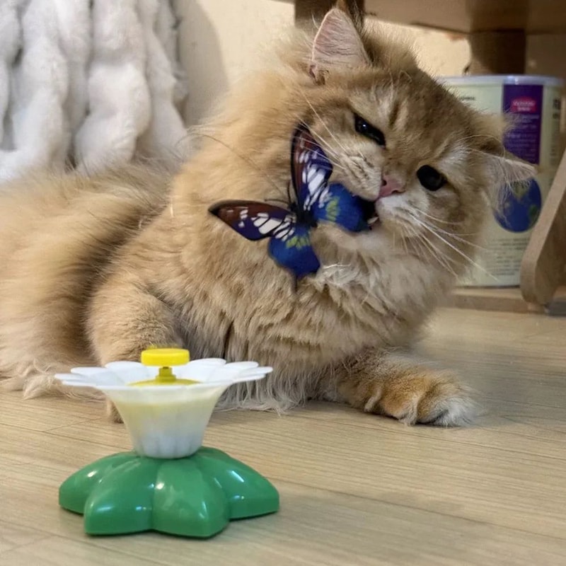Automatic Rotating Butterfly Bird Interactive Cat Toy 2