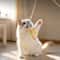 Wooden Tortoise Cat Teaser Stick Toy With Bell 2