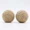Eco Friendly Sisal Cat Chew And Fetch Ball 3