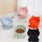 Elevated Ceramic Cat Food And Water Bowl 1