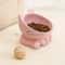 Elevated Ceramic Cat Food And Water Bowl 4