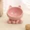 Elevated Ceramic Cat Food And Water Bowl 11