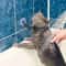 Pet Bathing Shower Fixing Collar Holder 0