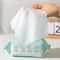 100 Sheets Gentle Pet Cleaning Wipes 4