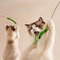 Interactive Feather Wand Cat Teaser Toy 4