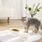 Elevated Cat Food And Water Bowl 1
