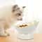 Elevated Cat Food And Water Bowl 2
