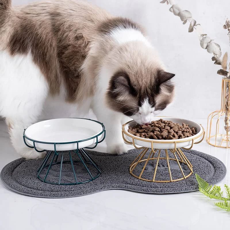 Elevated Ceramic Pet Feeding Bowl Set 0