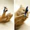 Interactive Feather Bird Cat Teaser Wand Toy 2