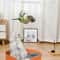 Interactive Feather Bird Cat Teaser Wand Toy 4