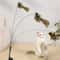 Interactive Feather Bird Cat Teaser Wand Toy 6
