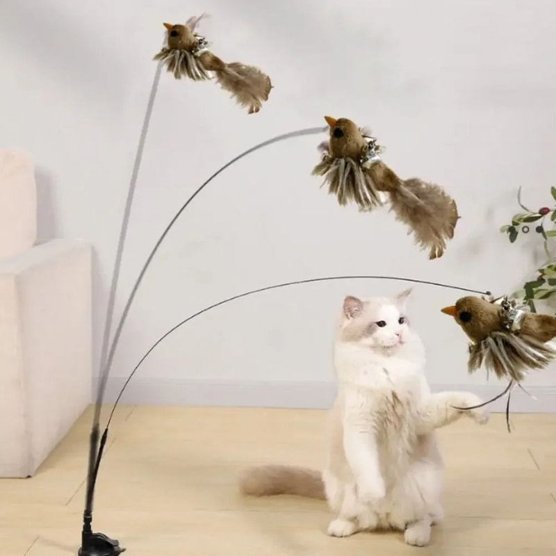 Interactive Feather Bird Cat Teaser Wand Toy 6