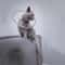 Adjustable Pet Recovery Cone Collar For Cats And Dogs 8