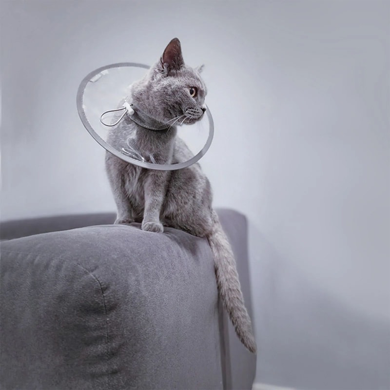 Adjustable Pet Recovery Cone Collar For Cats And Dogs 8