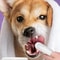 Disposable Pet Finger Toothbrush Wipes For Dogs And Cats 6