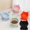 Elevated Ceramic Cat Bowl With Tilted Neck Protection Design 0