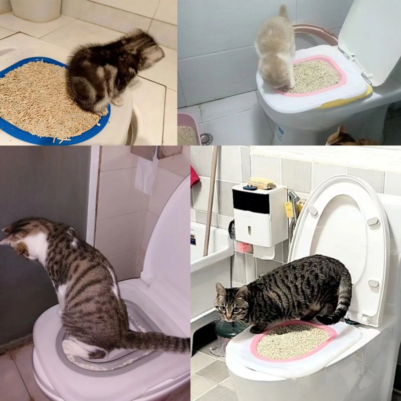 Reusable Pet Toilet Training Kit With Removable Sand Tray 11