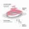 Reusable Pet Toilet Training Kit With Removable Sand Tray 13