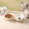 Ceramic Double Elevated Cat And Dog Bowl 0