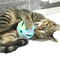 Colorful Bell Ball Interactive Cat Toy Set 3