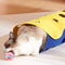 Colorful Bell Ball Interactive Cat Toy Set 6