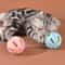 Colorful Bell Ball Interactive Cat Toy Set 7