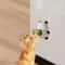 Natural Catnip Wall Sticky Ball Toy 6