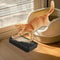Waterproof Cat Litter Box Step Ramp With Filter 2
