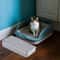 Waterproof Cat Litter Box Step Ramp With Filter 4