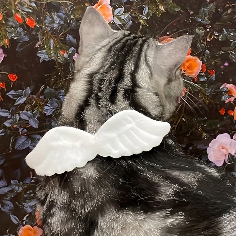 Pet Costume Set With Wings And Bow Tie Collar 3