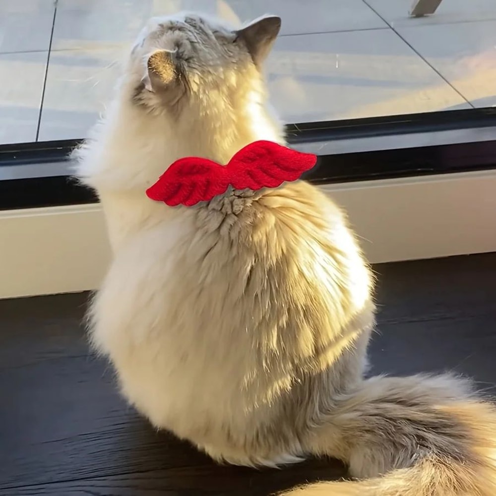 Pet Costume Set With Wings And Bow Tie Collar 7
